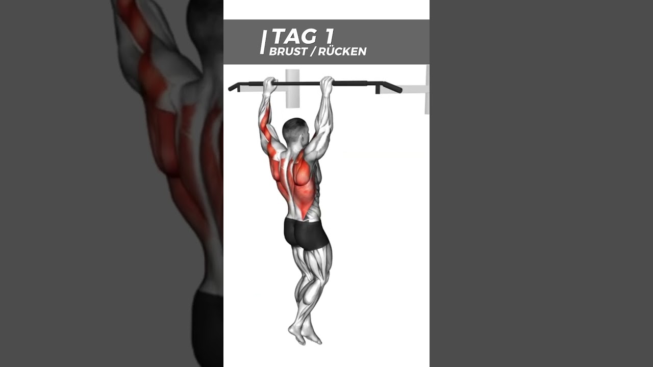 Arnold Split für Muskelaufbau - Trainingsplan Split Training 