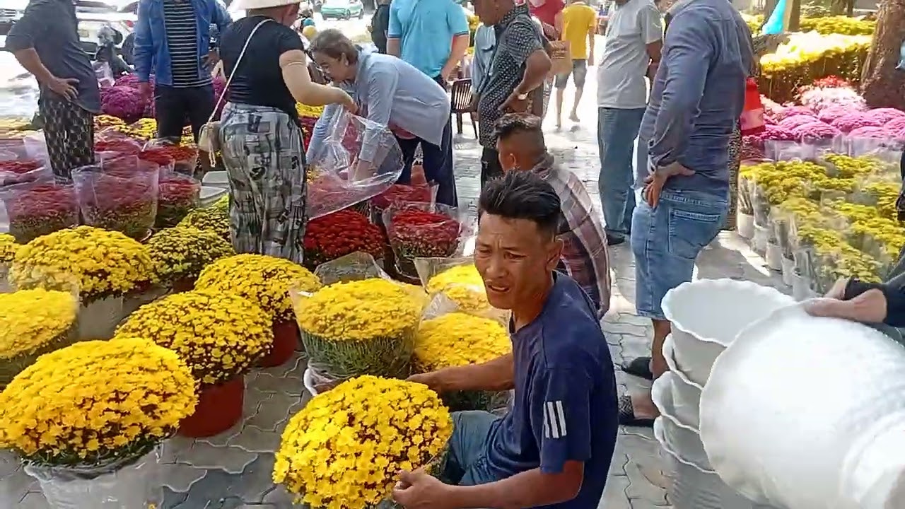 8 tháng 2, 2026camera sài gòn bông hoa đua nở Mừng Xuân Thanh Bình