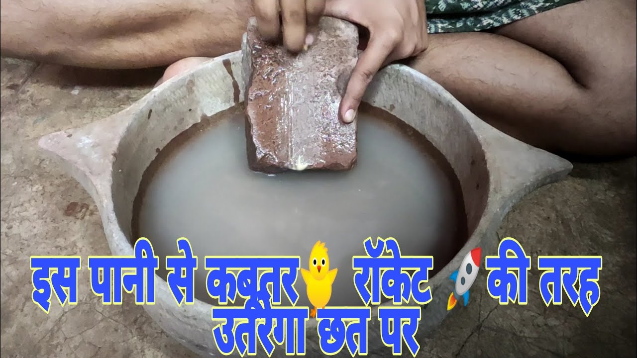 Kabutar Ke Amad Ka Khel Pani