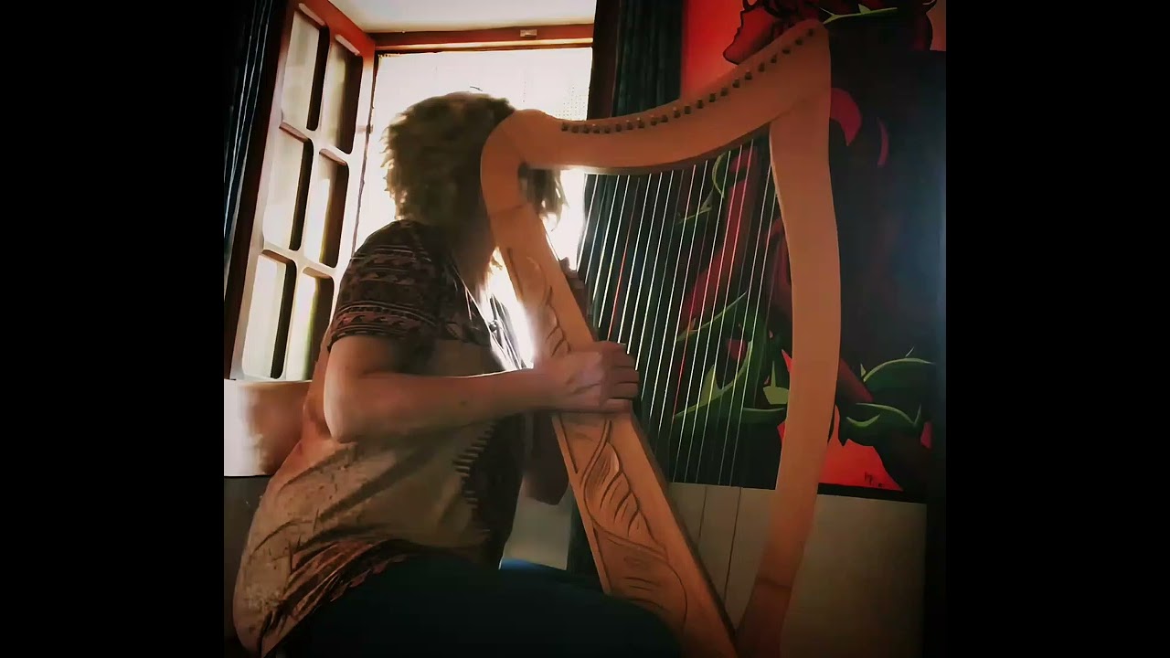 🌊COME UN'ONDA, I RICORDI 💦 #EnricaMerloLyre_Harp #enricamerlow #celticharp #Cora🎼