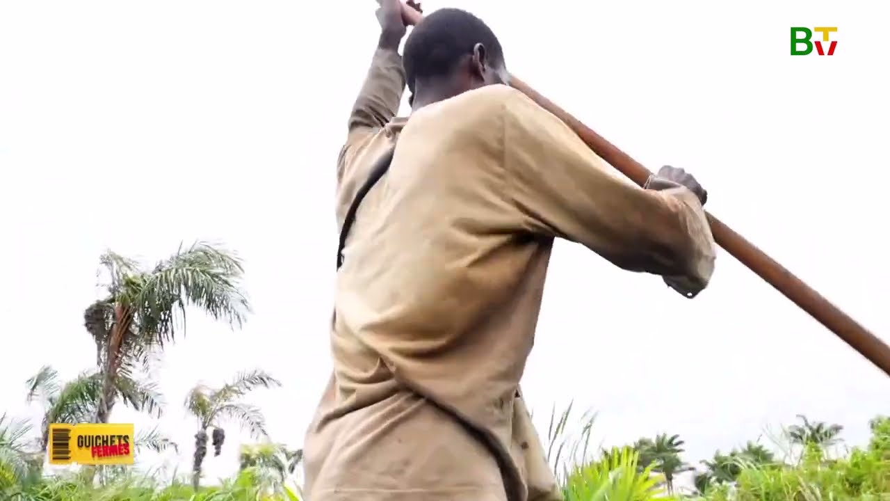 Scènes du Bénin : Cap sur Akpro-Missérété