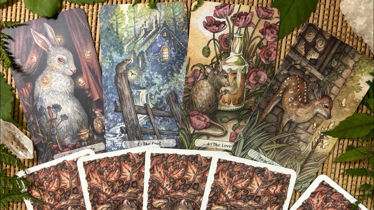 Долгожданная новинка😍🎉Распаковка и обзор колоды «Heartwood Tarot» 🌿🐀🌿 от студии  Three Trees Tarot.