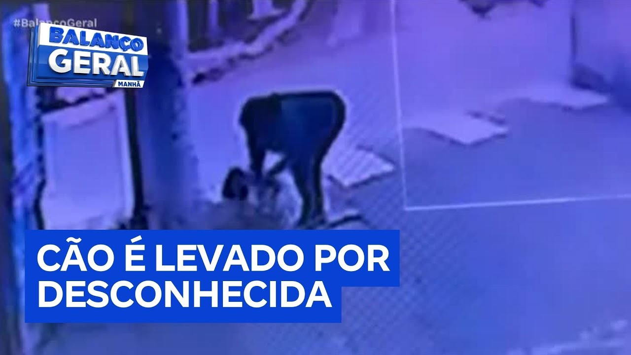 Família procura cachorro levado por mulher desconhecida em São Paulo