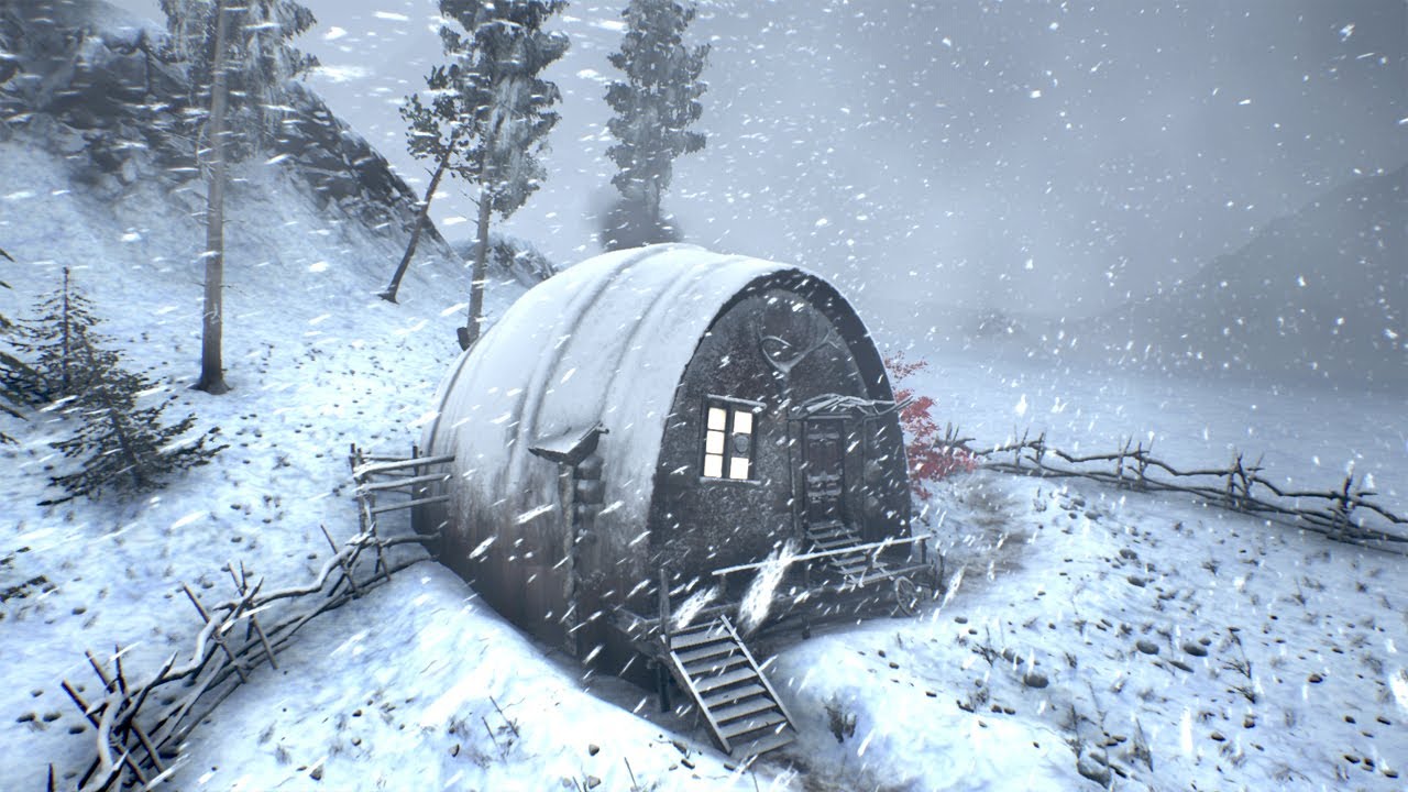 -40 at the ARCTIC STATION and Sounds of an icy snow storm and Howling of a strong wind