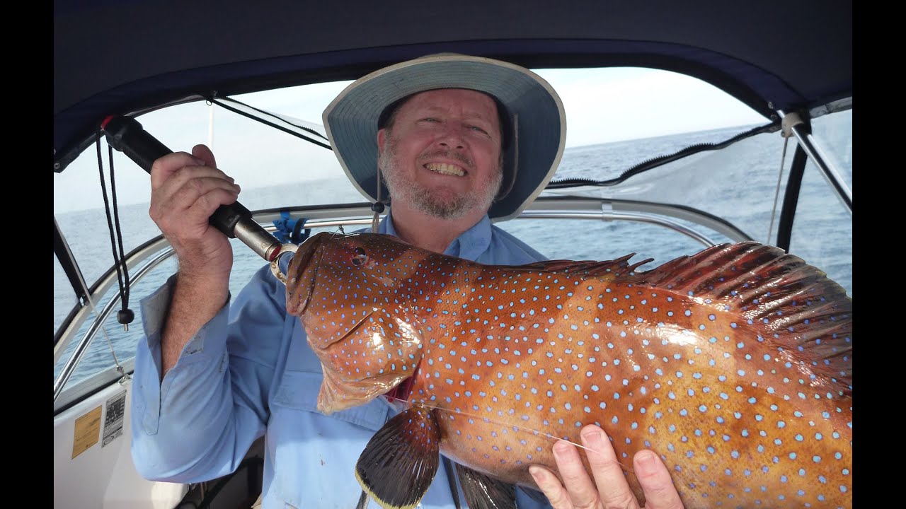 Fishing inshore reefs sunshine coast 19 May 2016