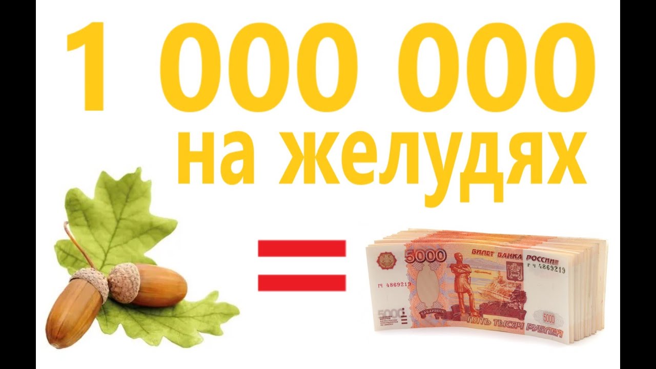Бизнес с нуля. Желуди.