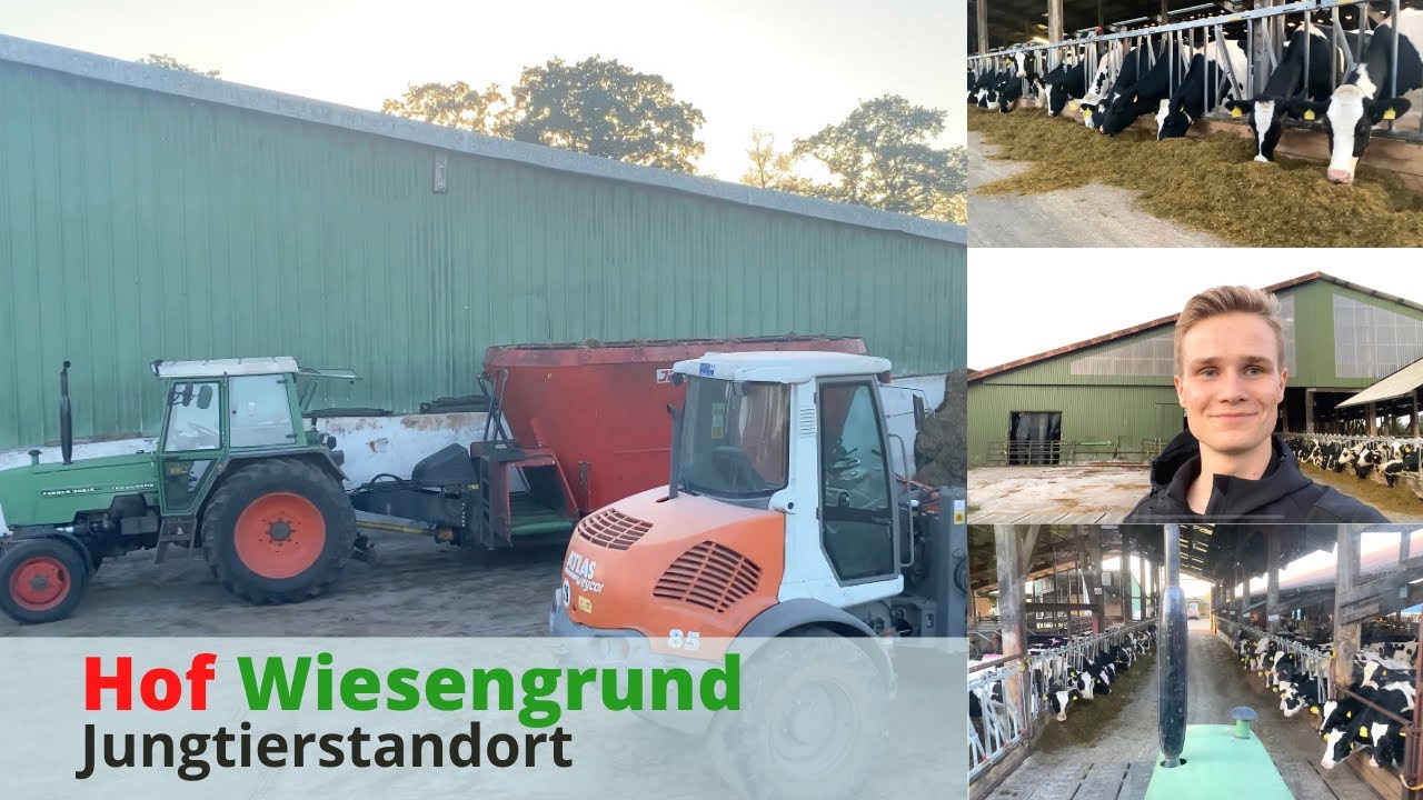 Jungtierstandort + Stellenanzeige | So machen wir es! Hof Wiesengrund