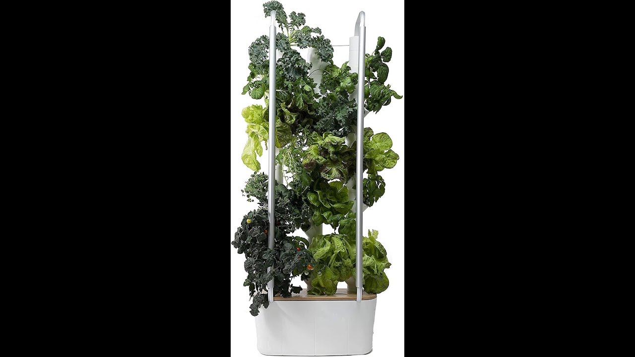 Gardyn Hydroponic System Algae Hack: Simple no more Algae fix.