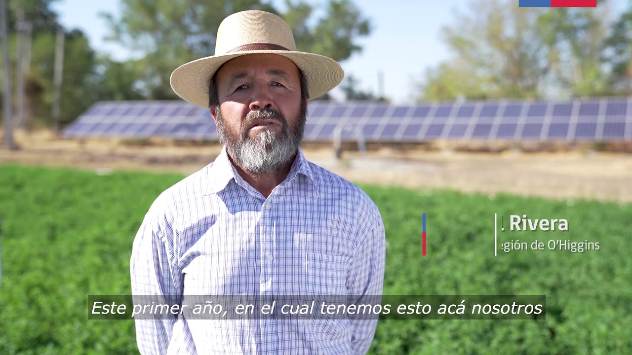 Cultivando alfalfa gracias a la energía solar, La Estrella, Región de O´Higgins