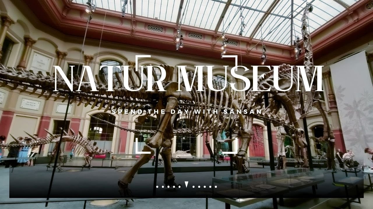 Dinosauria Museum | Dinosaurs Museum | Nature Museum Berlin | Naturkunde Museum