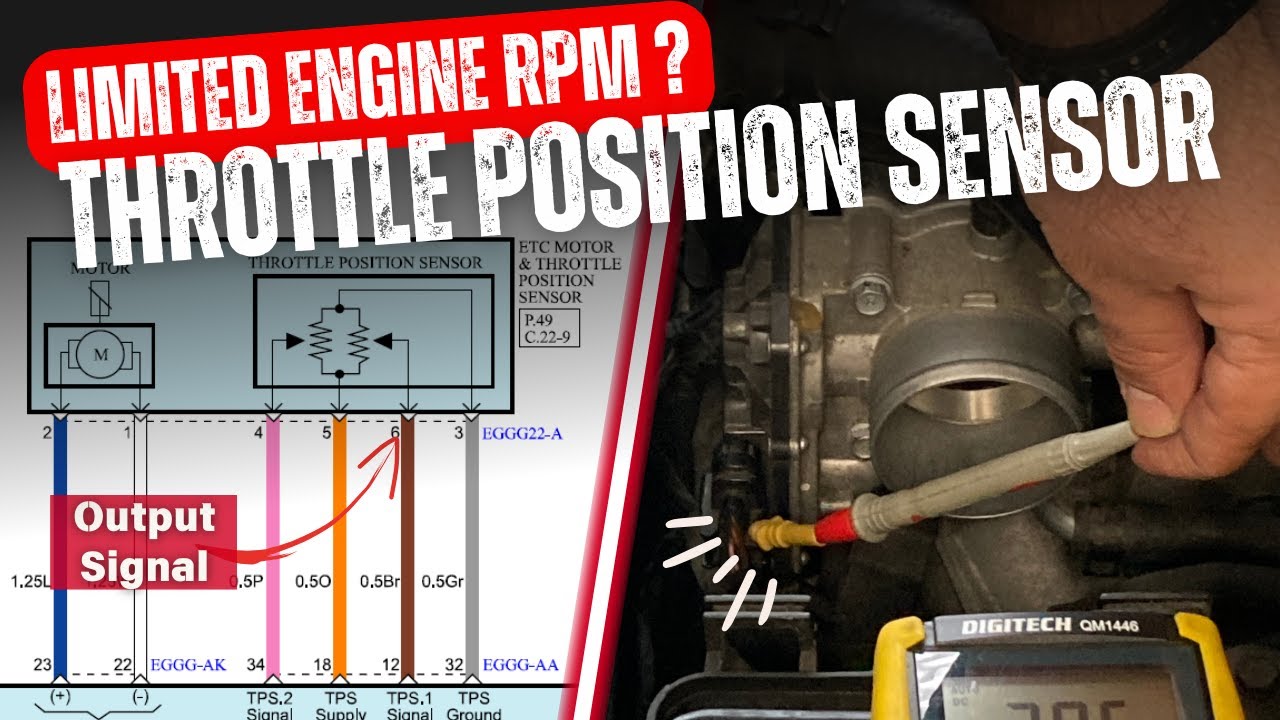 Don't Regret Buying a New Throttle Body Without Watching This First!