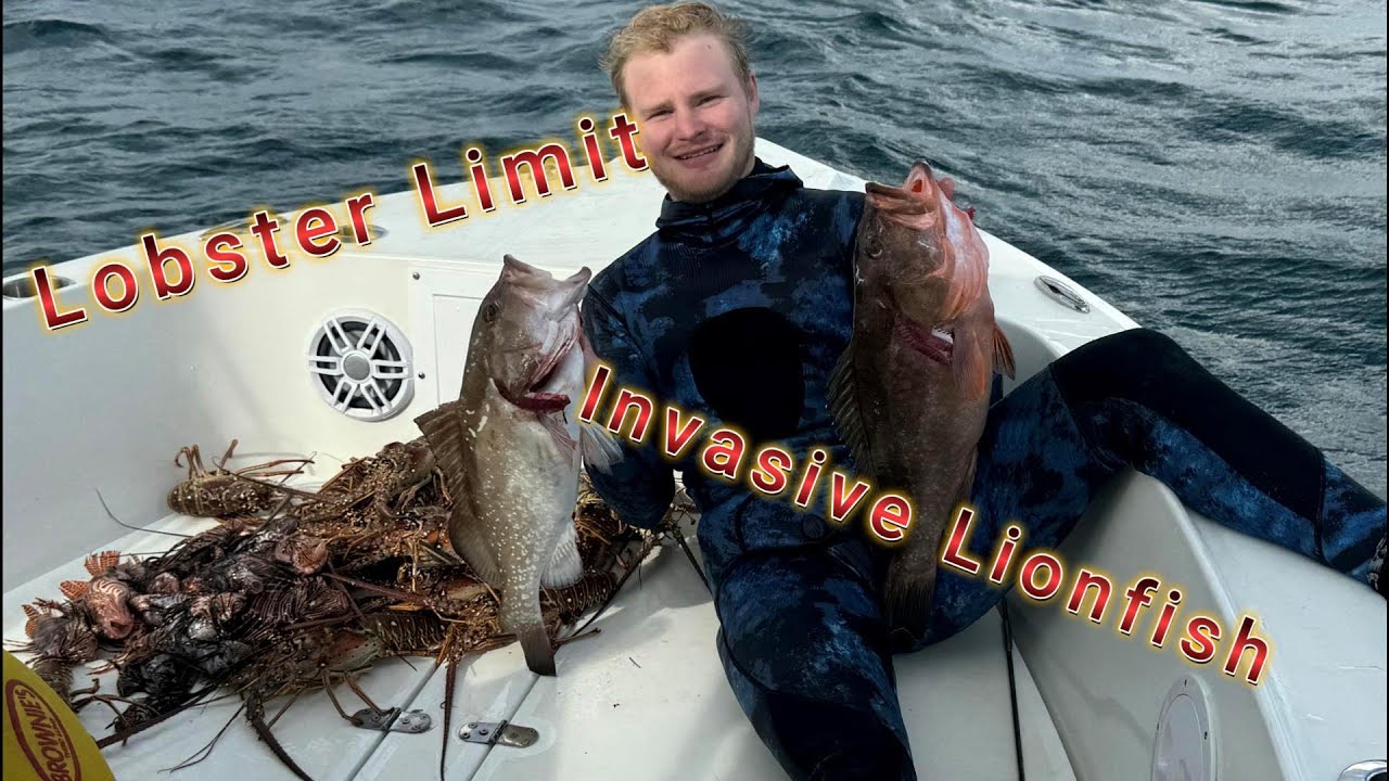 How to Catch Invasive Lionfish while Lobstering and Spearfishing