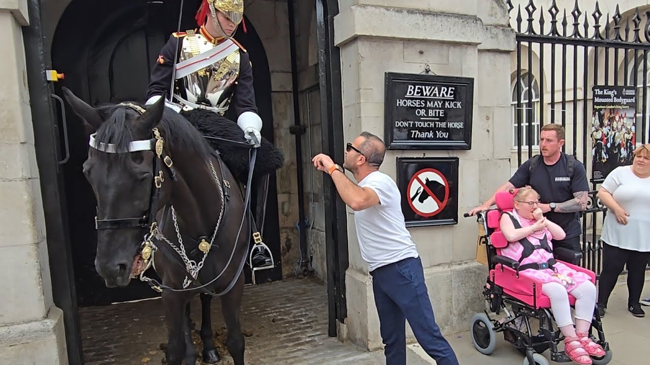 WHAT DID YOU GIVE THE HORSE #kingsguard 