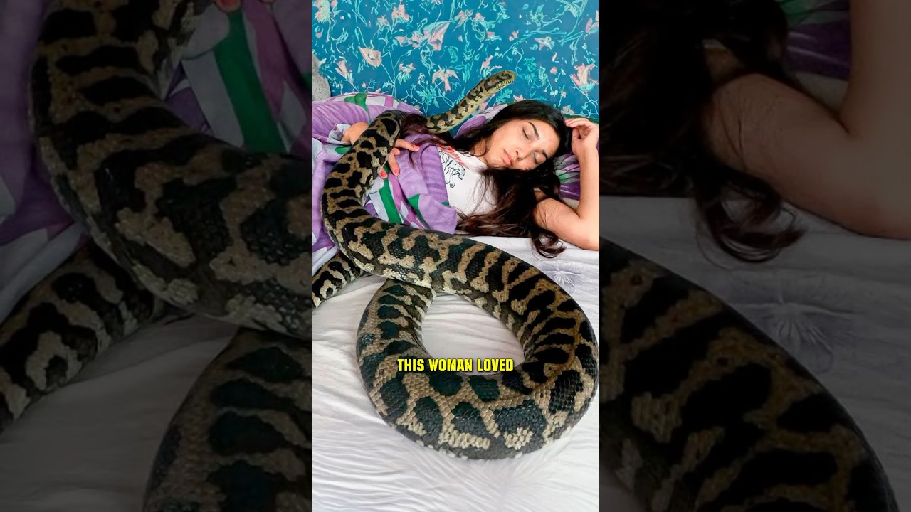 She Slept with Her Python Until THIS Happened! 😱 #shorts