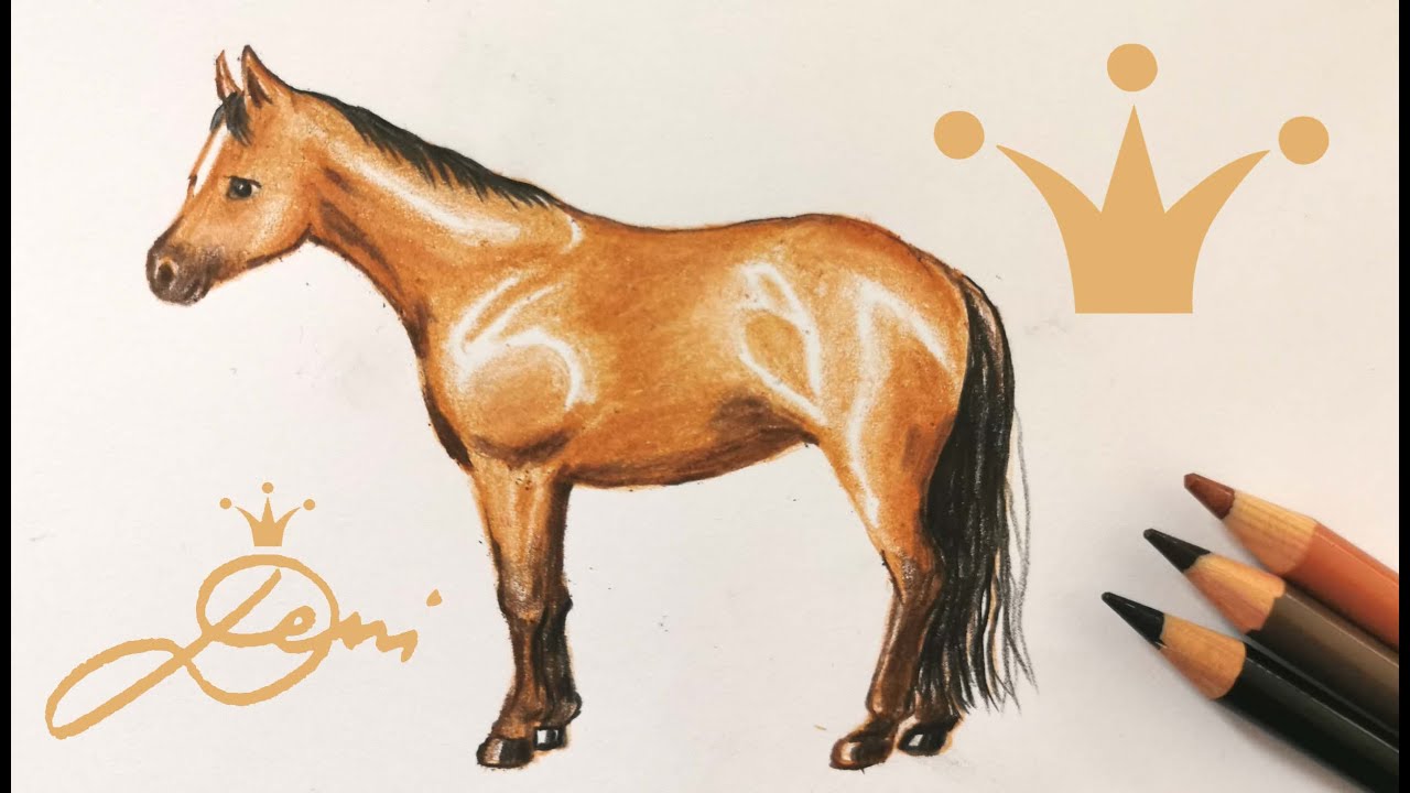 American Quarter Horse zeichnen lernen 🐎 How to draw?🐴 Deni zeichnet Pferde schnell, einfach, leicht
