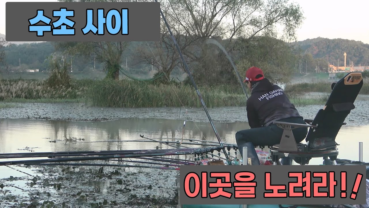 수초사이 언덕을 노려라 132화 한가한낚시 붕어낚시