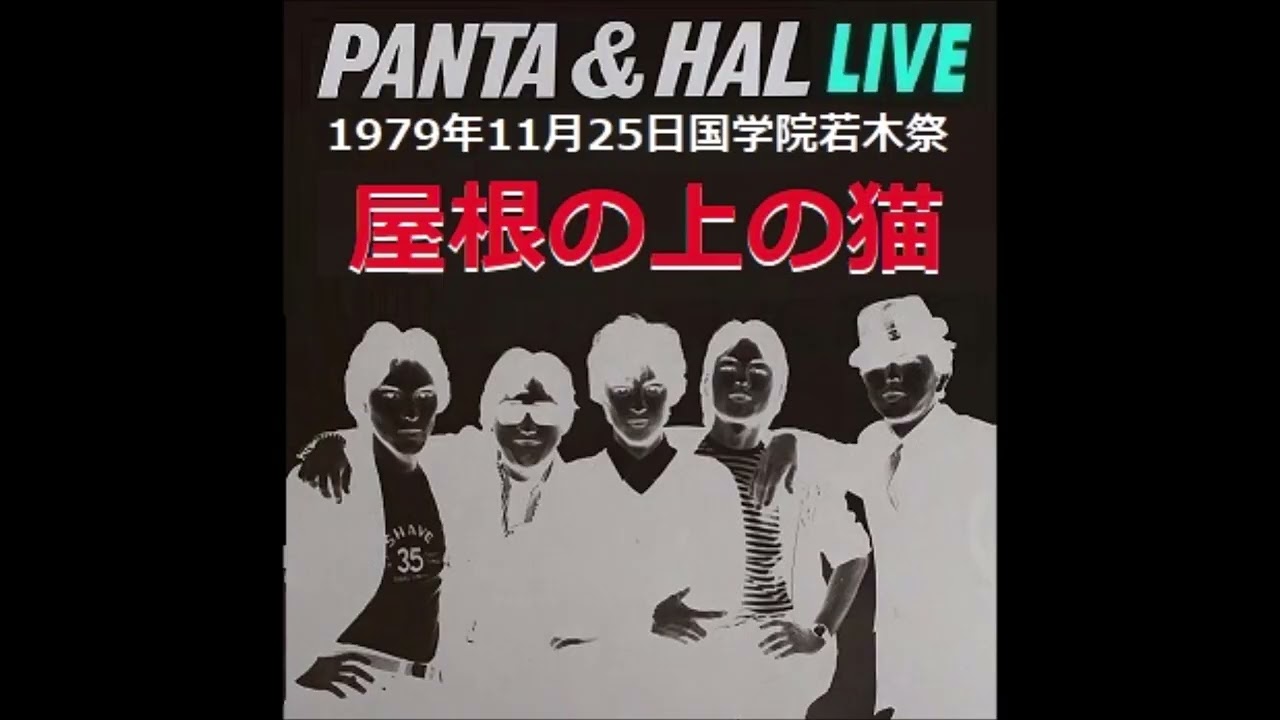 屋根の上の猫　国学院若木祭1979 PANTA &. HAL