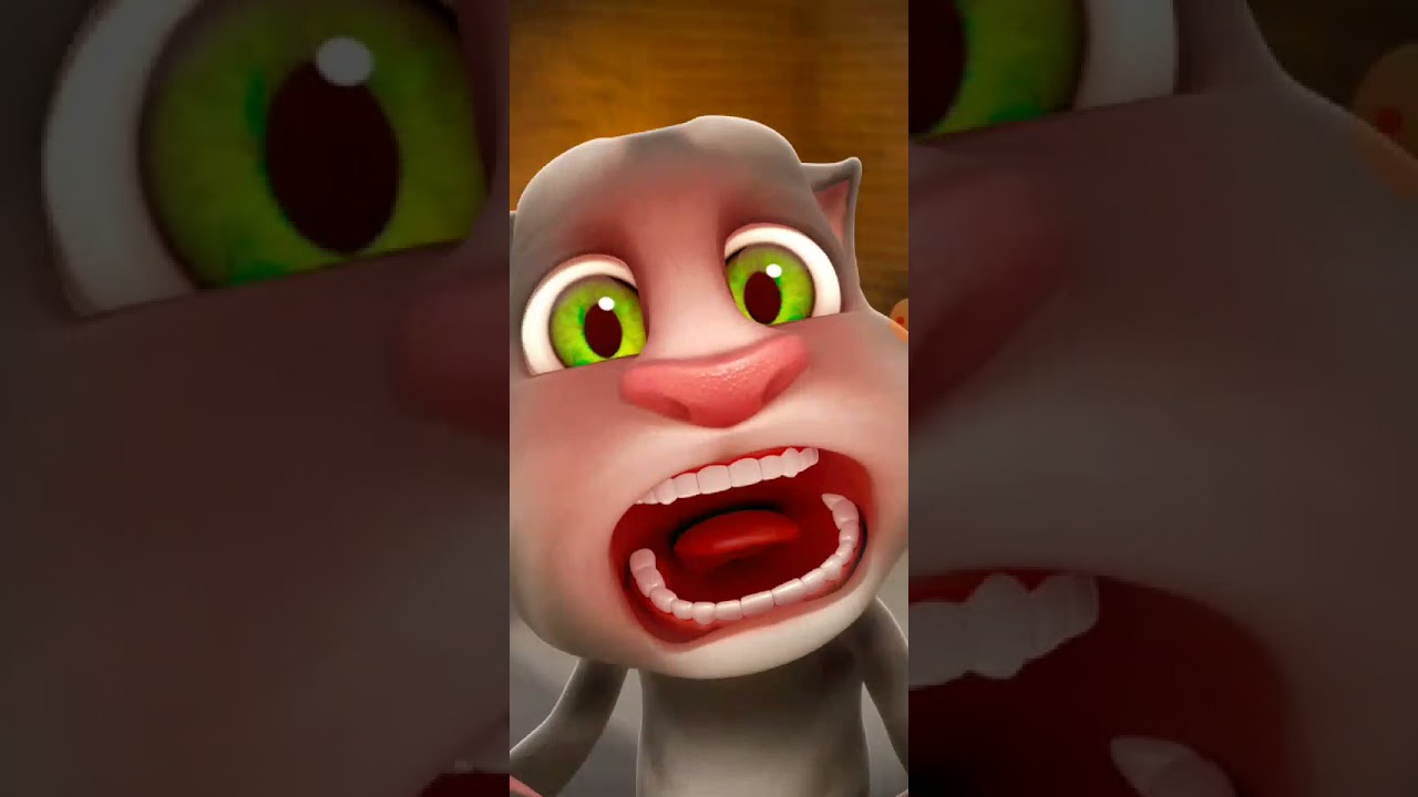 Talking Tom Cat New Video Best Funny Android GamePlay #6635