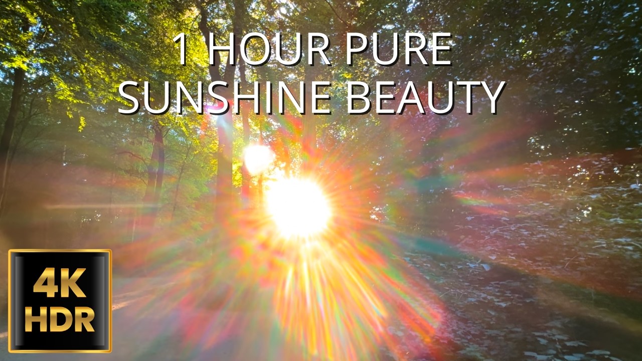 Most BEAUTIFUL Sunshine Shots ever! (1 Hour) 2026