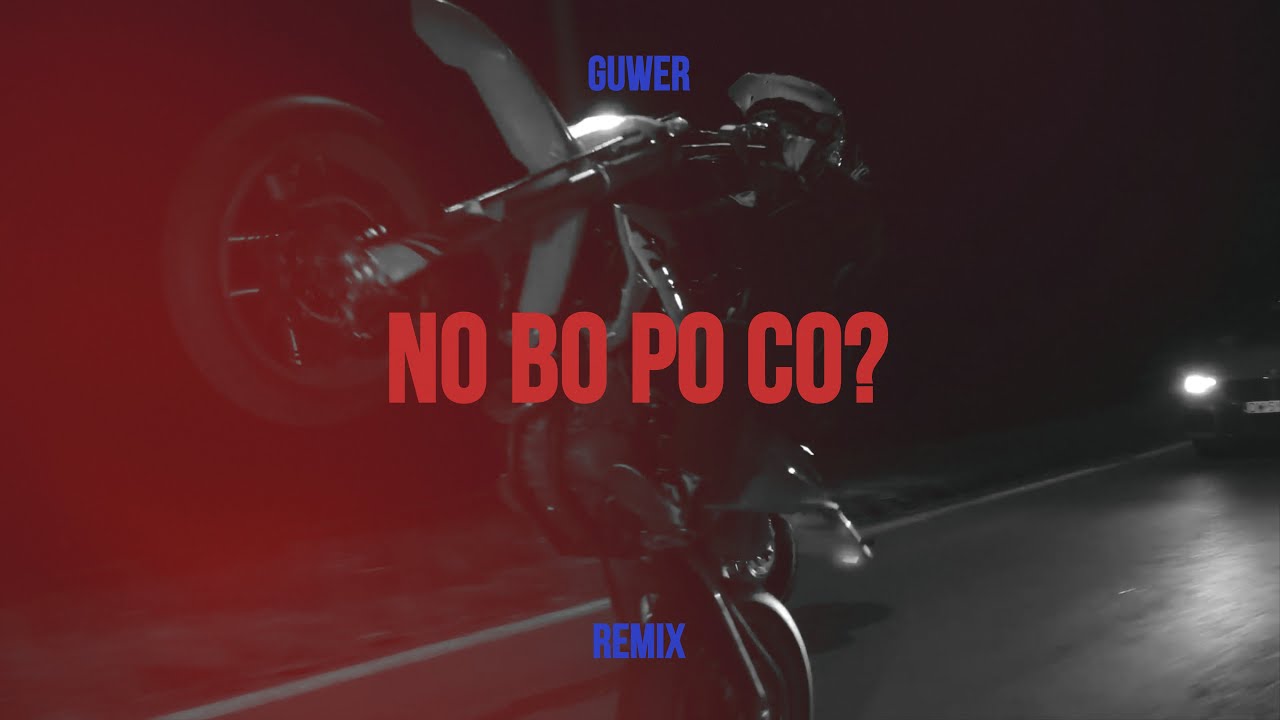 Guwer - No bo po co? (REMIX)