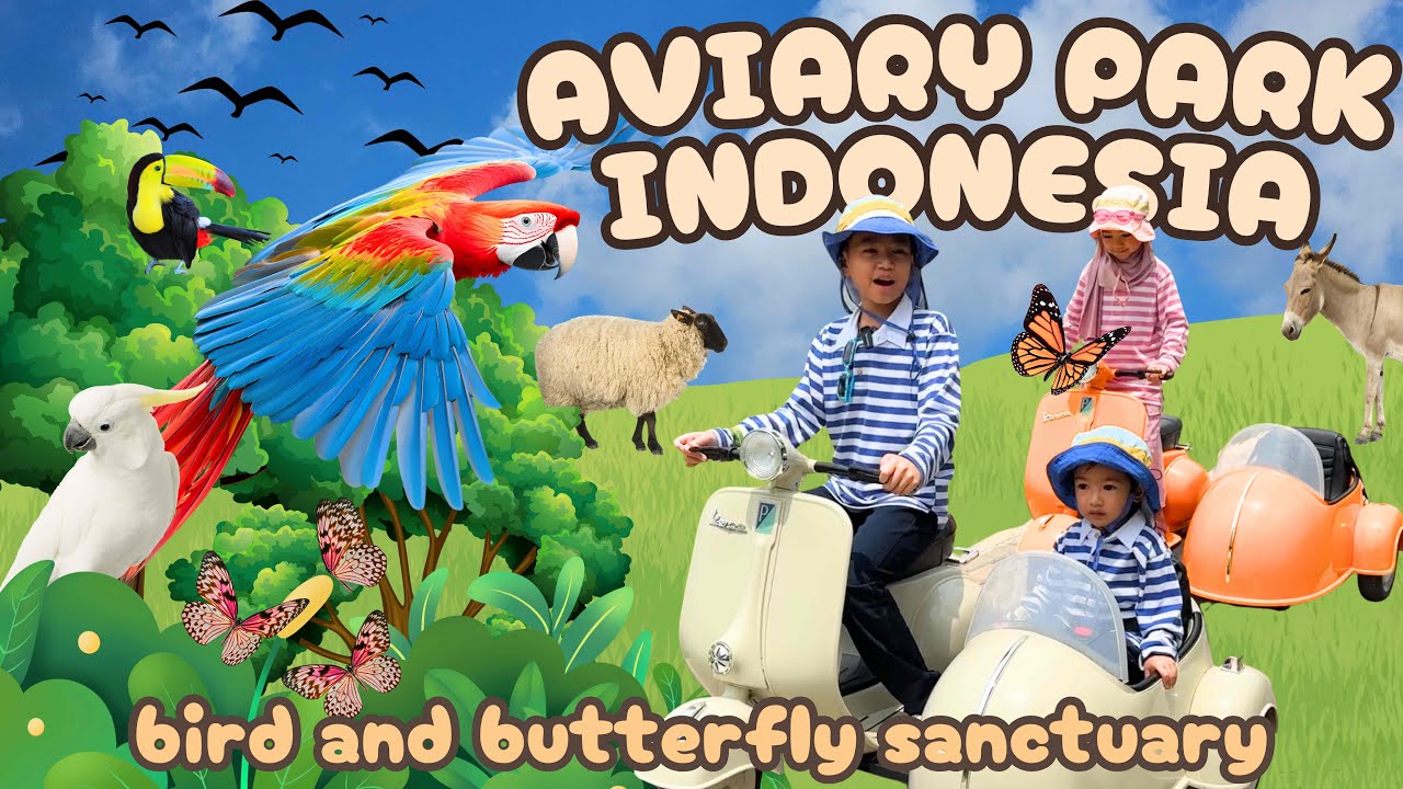 018 | Serunya Main di Aviary Park Indonesia! Wisata Burung & Kupu-Kupu yang Bikin Betah