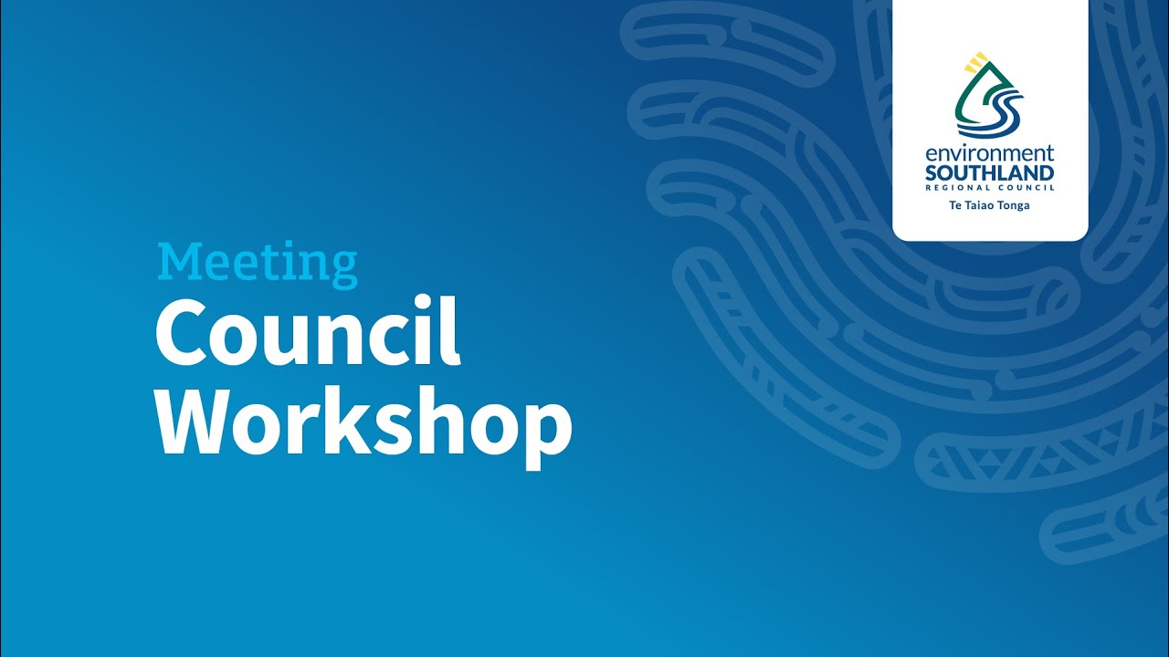 Council Workshop - Annual Plan #1