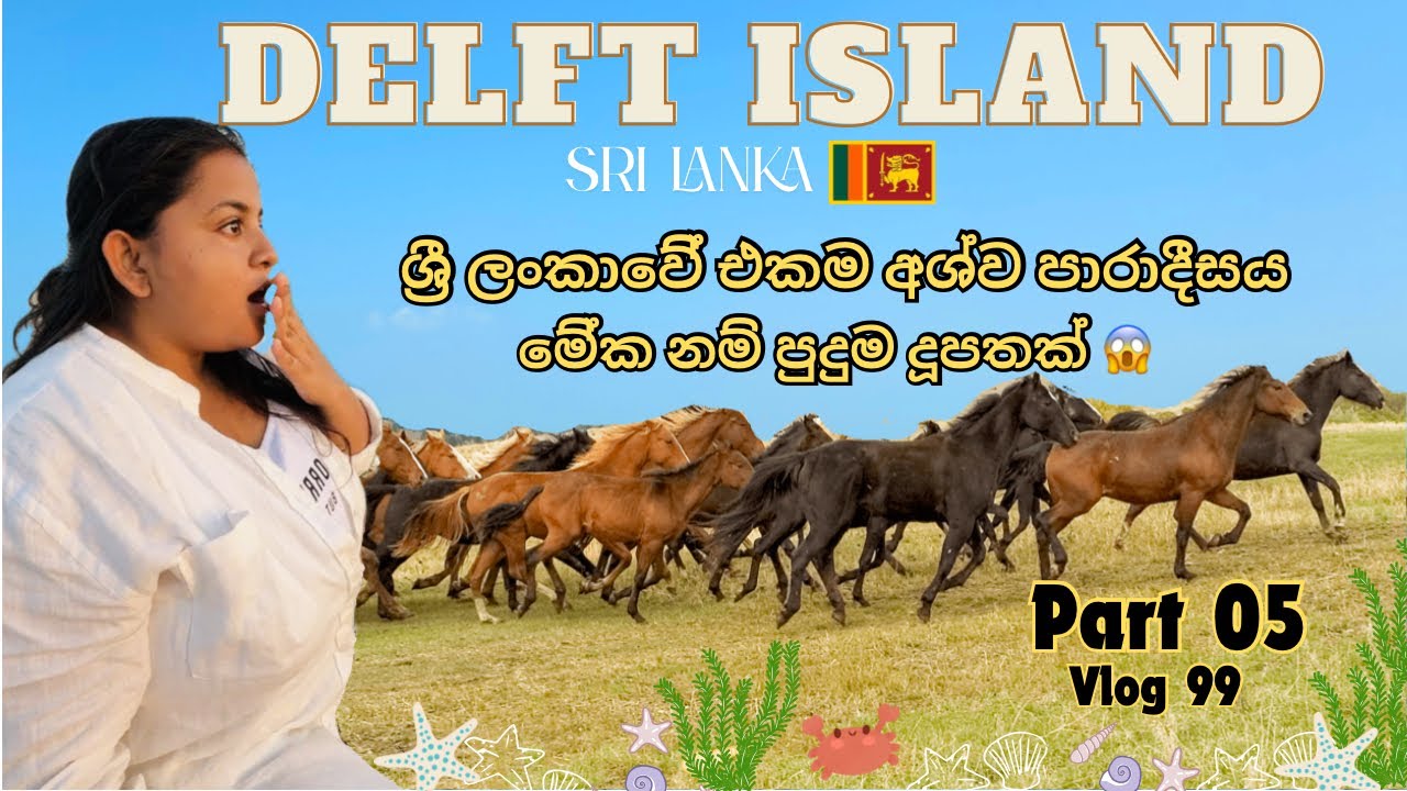 ශ්‍රී ලංකාවේ එකම අශ්ව පාරාදීසය 🐎 Horse Paradise in Sri Lanka 🇱🇰 Delft Island Vlog Part 05