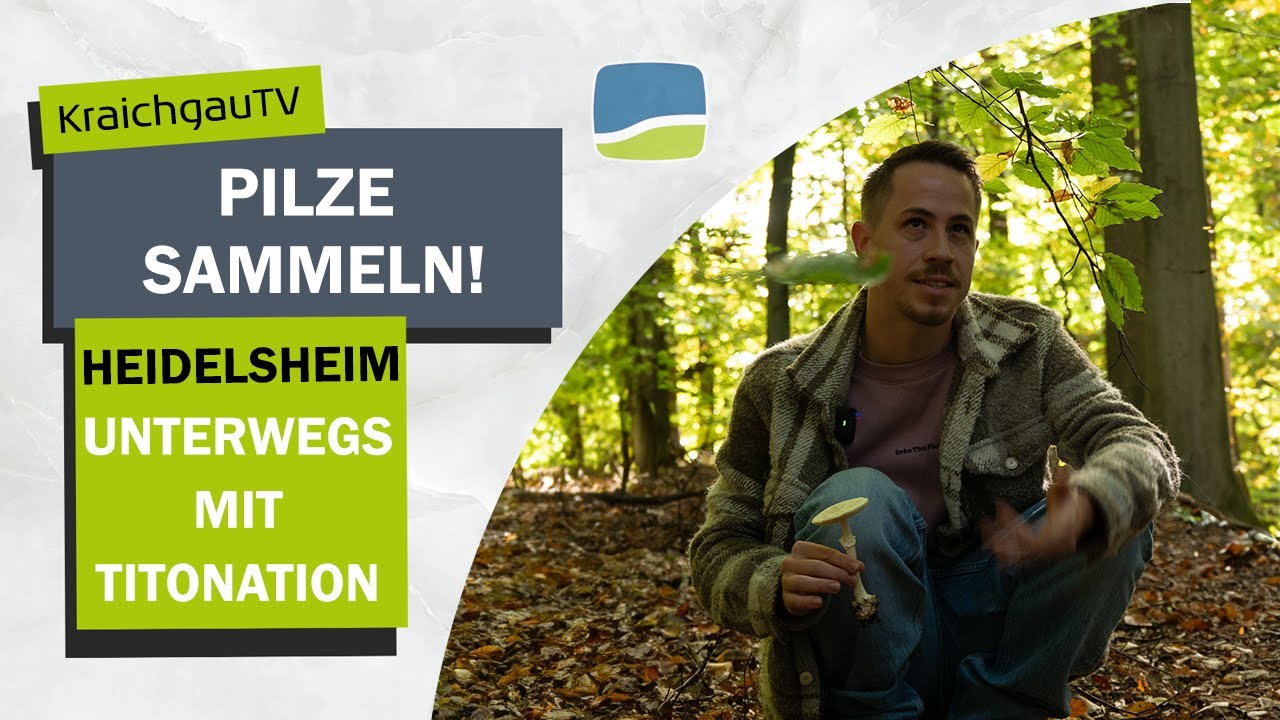 Noch mehr Pilze sammeln im Heidelsheimer Wald