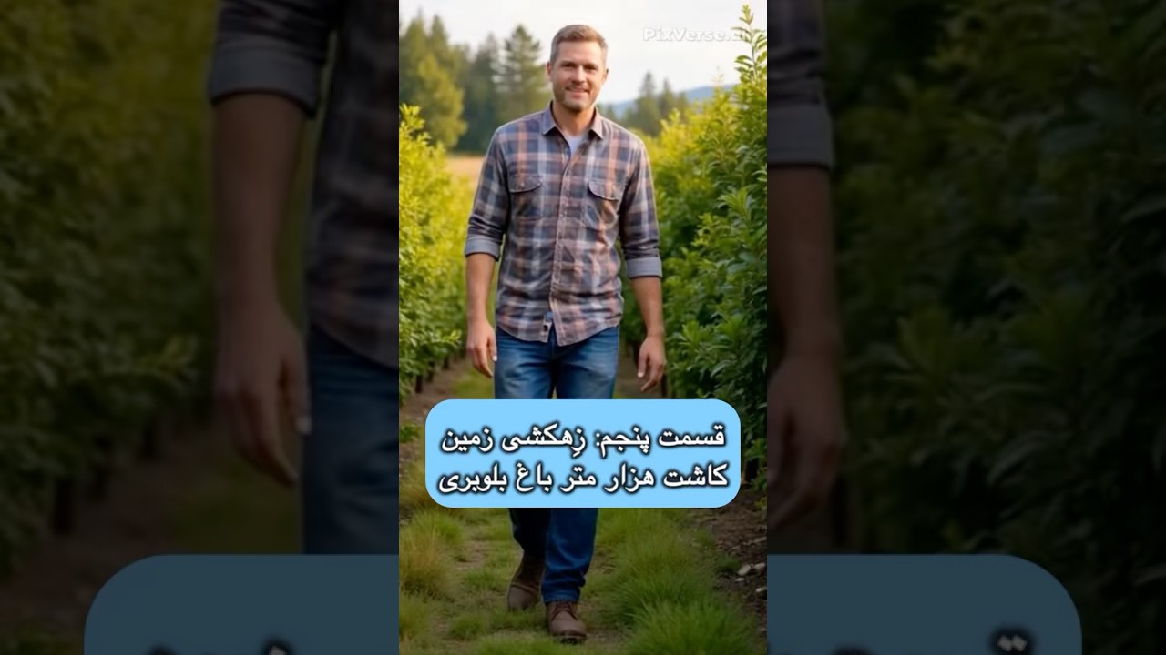 این قسمت در مورد زِهکشی باغ هزار متری بلوبری توضیح دادیم حتما بببنید و ما را سابسکرایب کنید#بلوبری