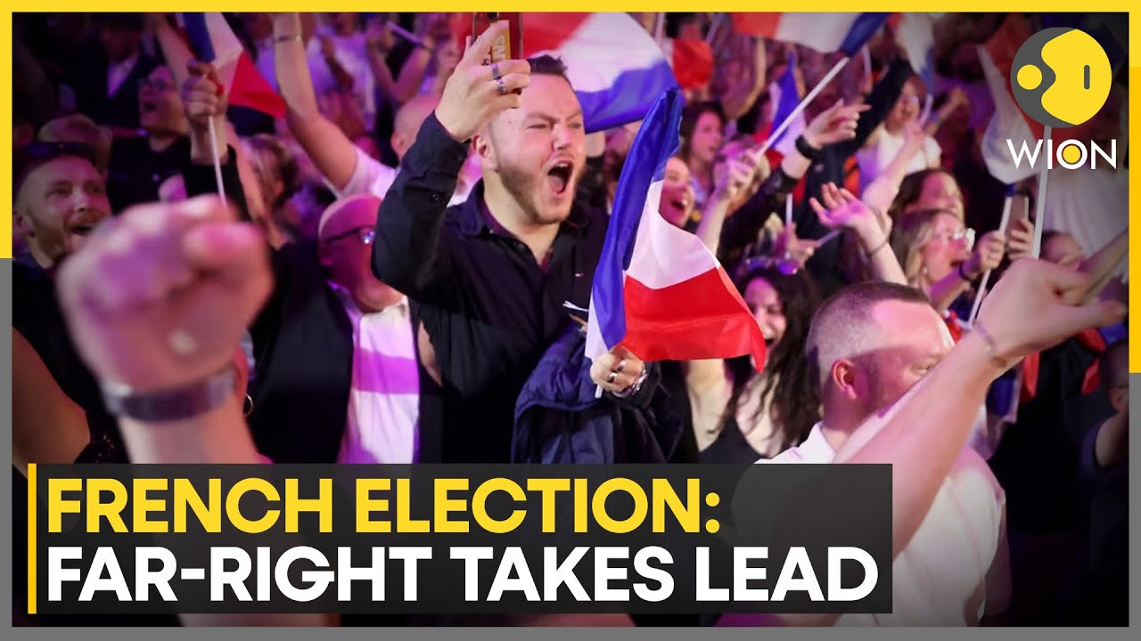 France elections: What are Marine Le Pen's plans for France? | WION