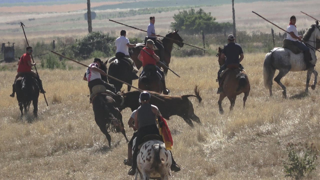 Guarrate 2024 Campero del sabado 22