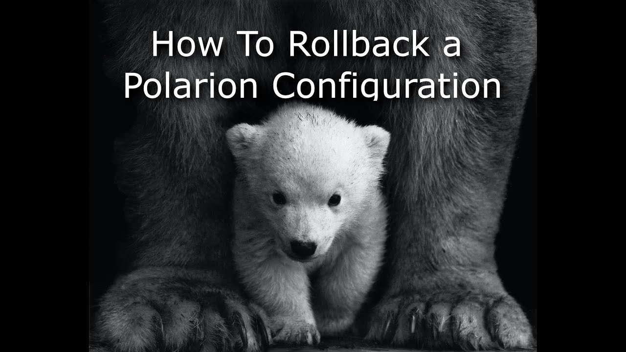 Polarion ALM Tutorial - How To Rollback a Polarion Configuration #17