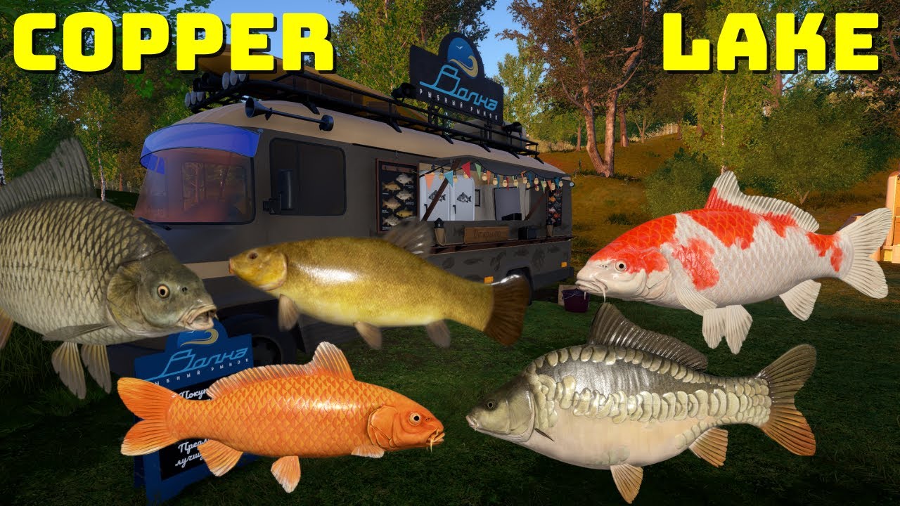 Tench + Carp no pva Copper Lake | Russian Fishing 4