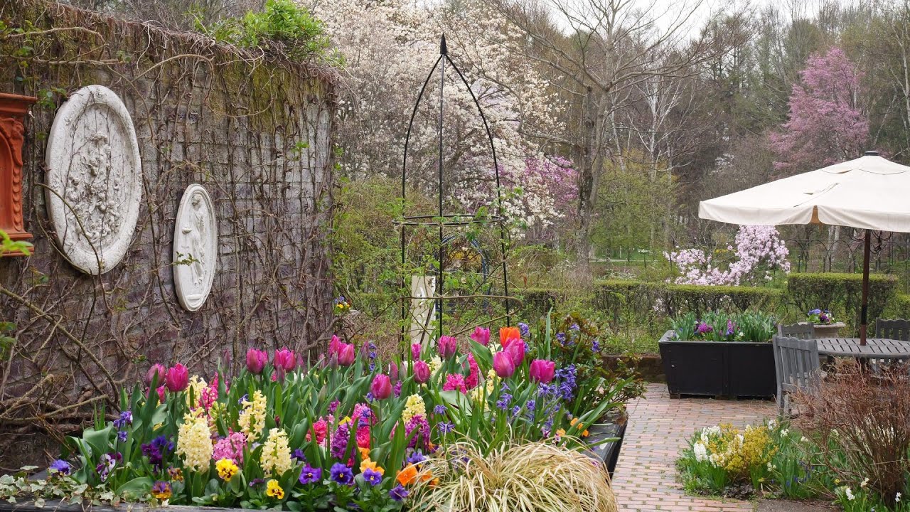 バラクライングリッシュガーデン春　めざせ楽々お花見学　2024.04.21