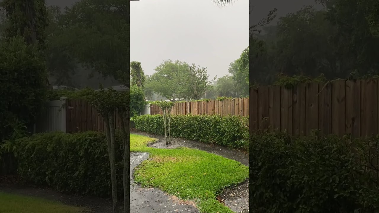 Thunderstorm. #rainsoundsasmr