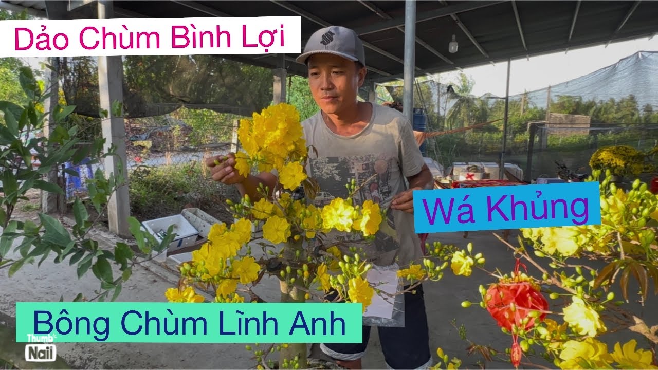 Clip2…09733 88093 lĩnh anh,,,giao chùm bình lợi 