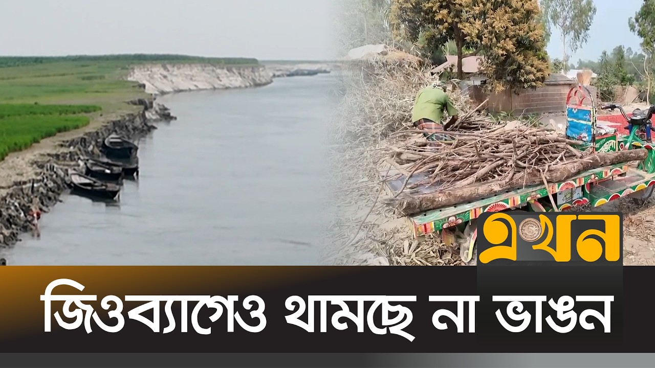 যমুনার করাল গ্রাসে নিঃস্ব শত শত পরিবার | Jamalpur News | River Erosion | Ekhon TV