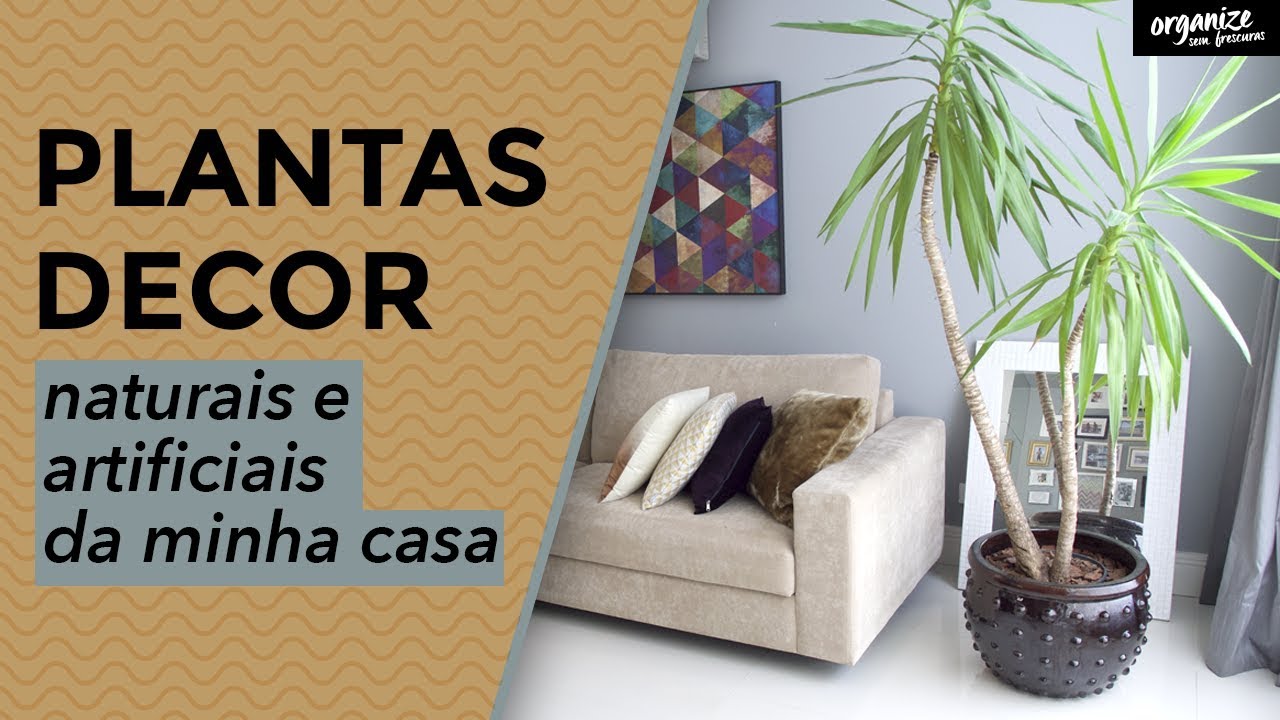 PLANTAS (E FLORES) NATURAIS E ARTIFICIAIS QUE TENHO EM CASA |Organize sem Frescuras