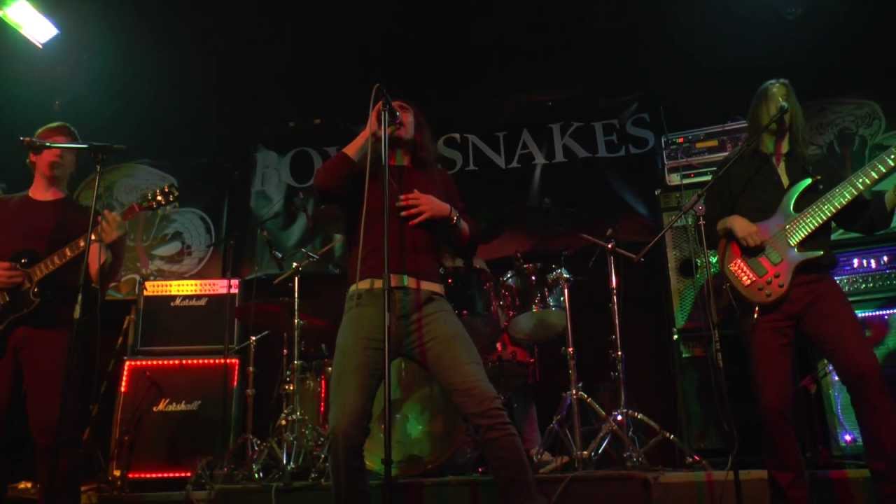 Box O Snakes Whitesnake Tribute Band : Here I Go Again