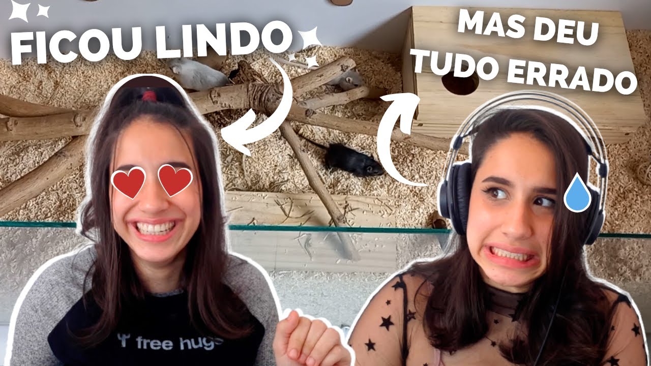 Montei o terrário dos gerbos e DEU TUDO ERRADO! 🐁🐁🐀🥲