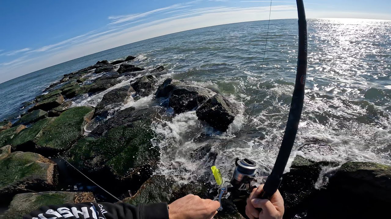 Winter Jetty Fishing (What Species Are Around?)