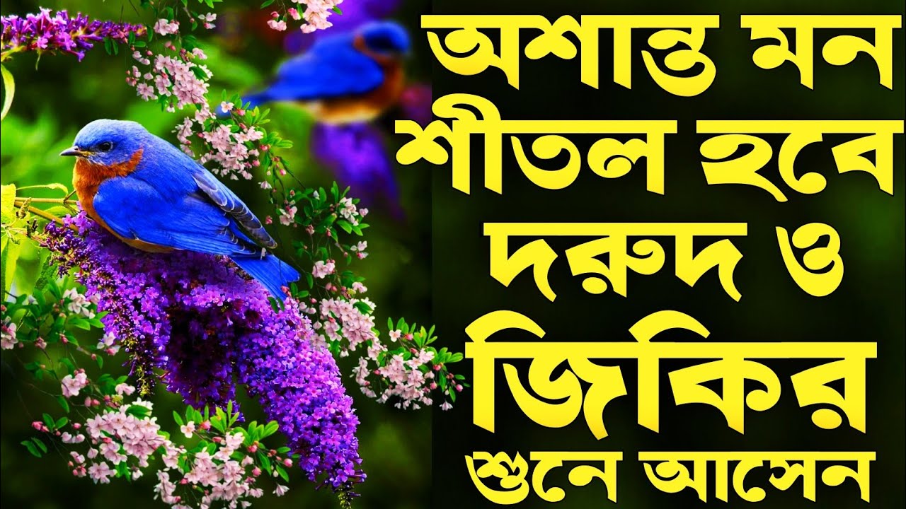 অশান্ত মন শান্তি করা দুরুদ জিকির। Durood Zikir। Zikir।Durud। Nurul Hoque Sk