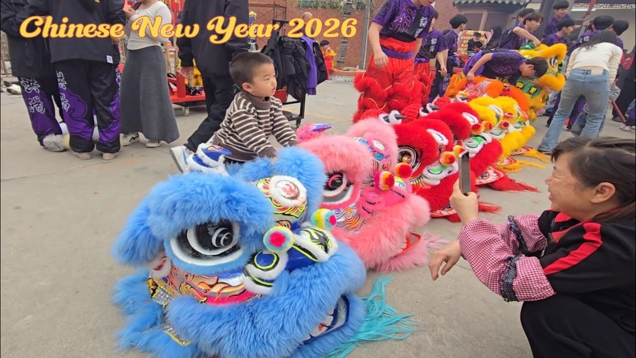 Rare ChineseFestival 🇨🇳Lion Dance, Firecrackers & Yingge Dance พาชม! พิธีเชิดสิงโตกินผัก