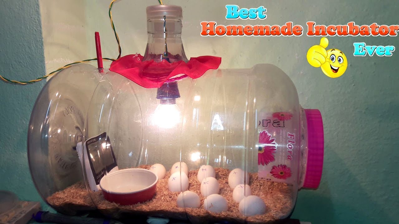 DIY - HOMEMADE INCUBATOR || HOW TO MAKE AN EGG INCUBATOR || HATCHING CHICKEN EGGS