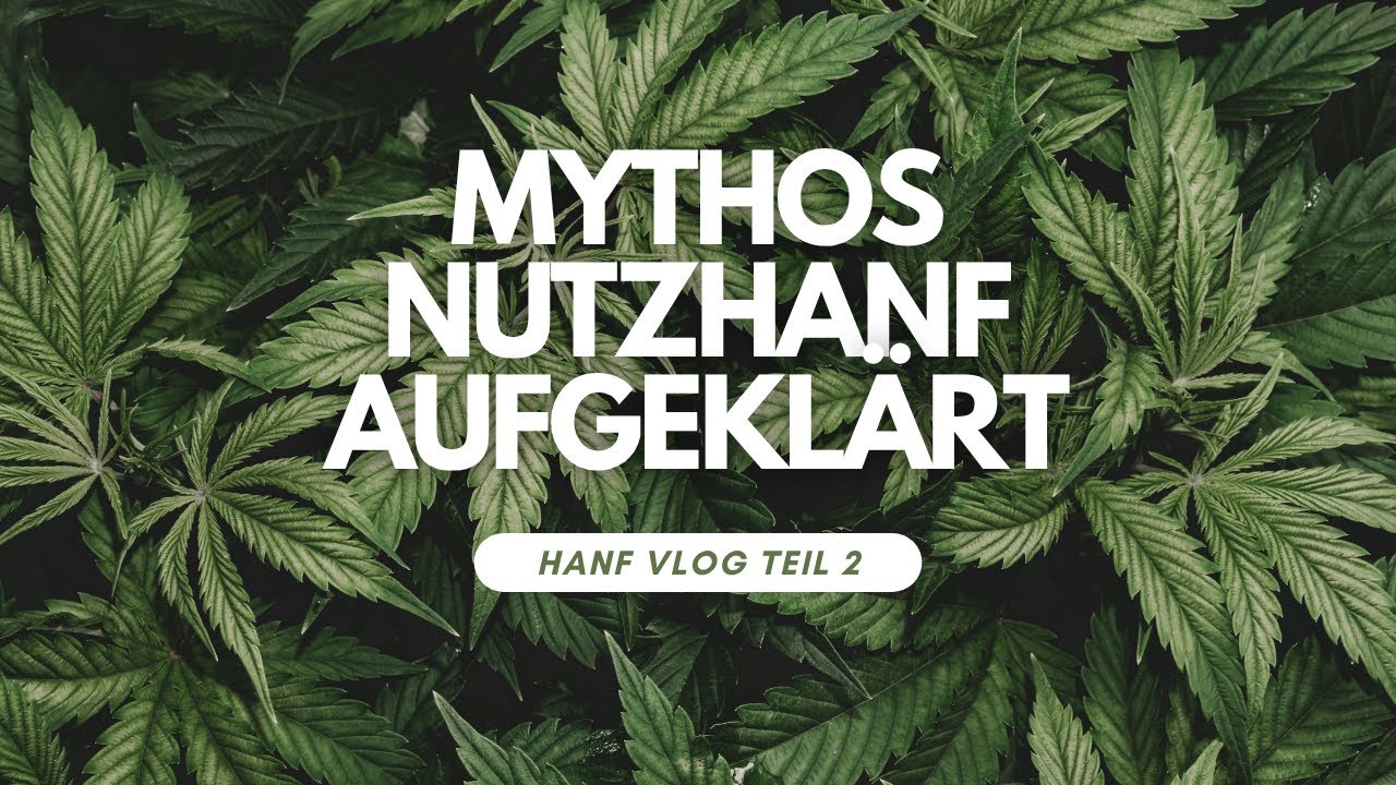 Mythos Hanf: Ist Nutzhanf berauschend? Die Wahrheit &uuml;ber Cannabinoide & ihre Wirkung auf den K&ouml;rper