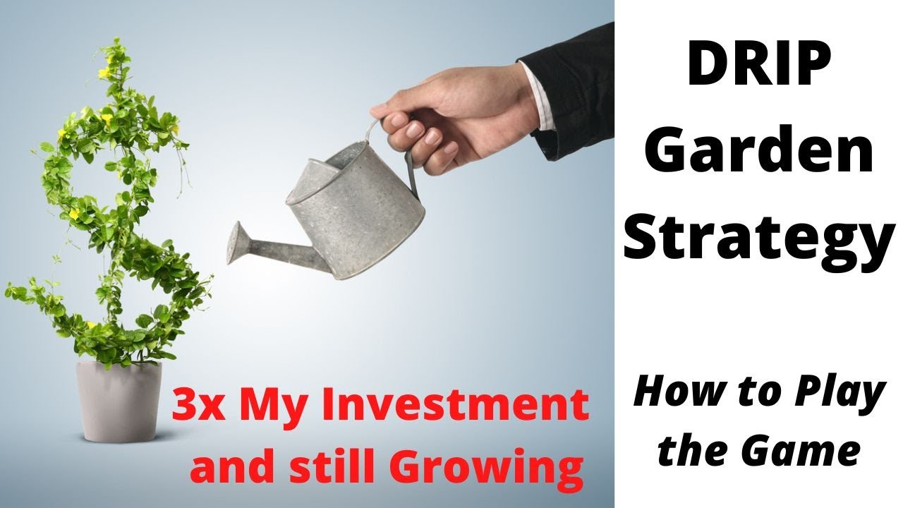 Drip Garden Strategy - How to Play the Game