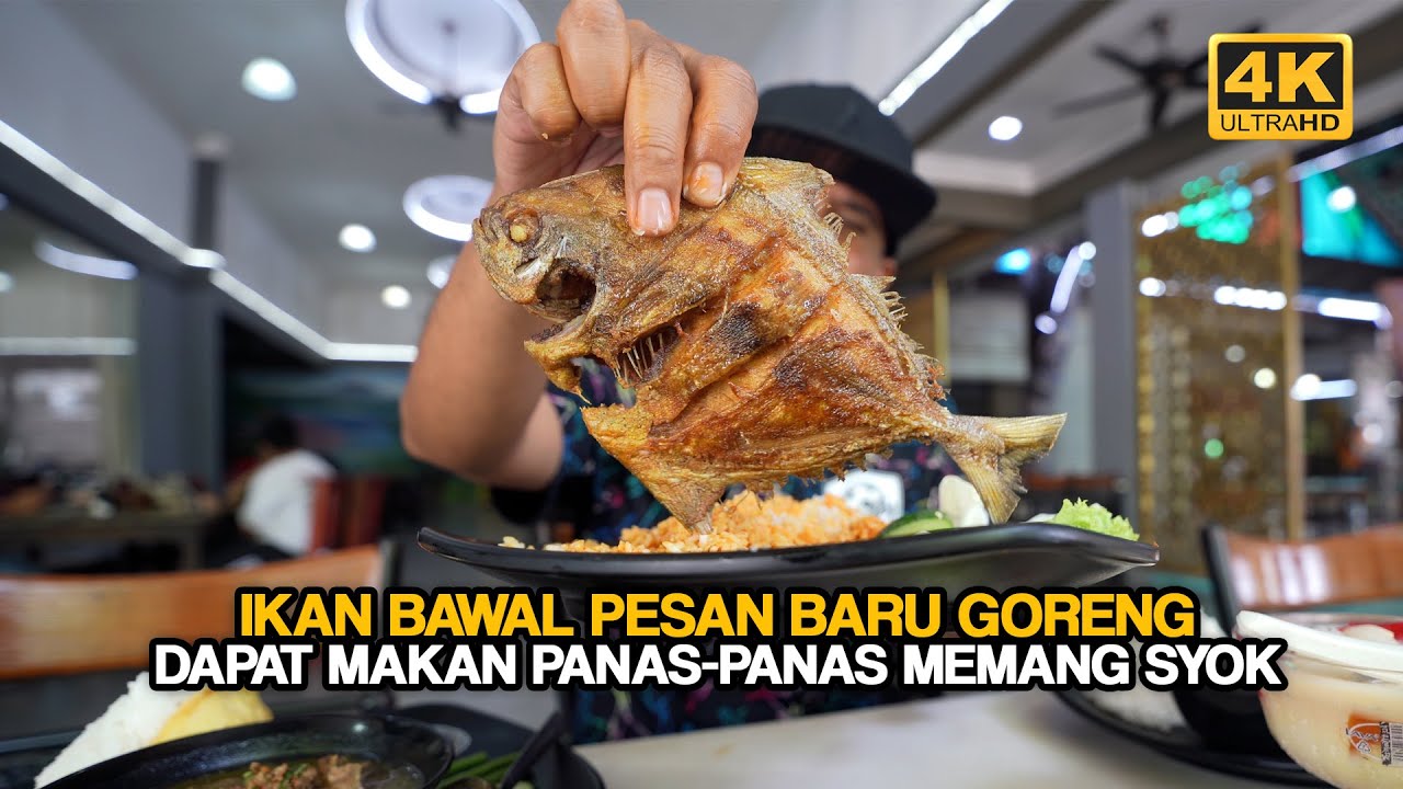 Makan TENGAH HARI Citarasa KEDAH, Repeat LAGI Makan Dekat SINI (4K)
