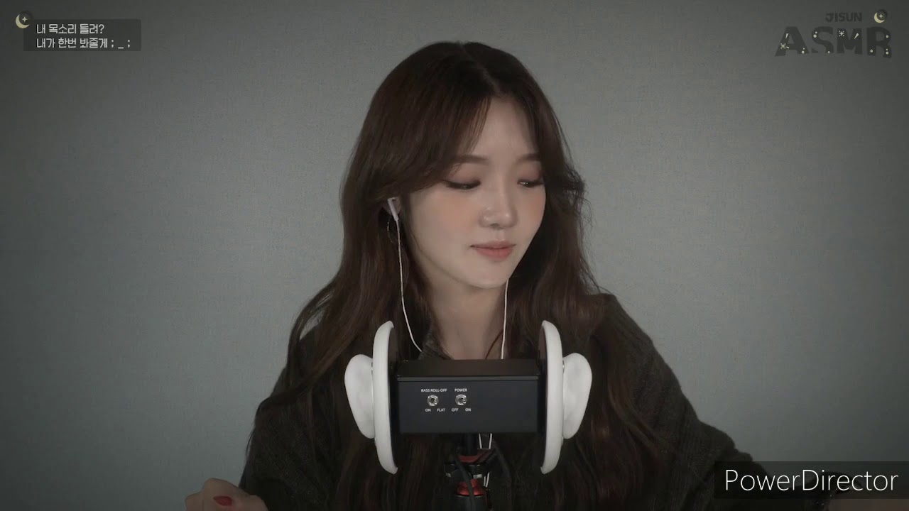 asmr 노지선 브러쉬 귀 쓸기 털기