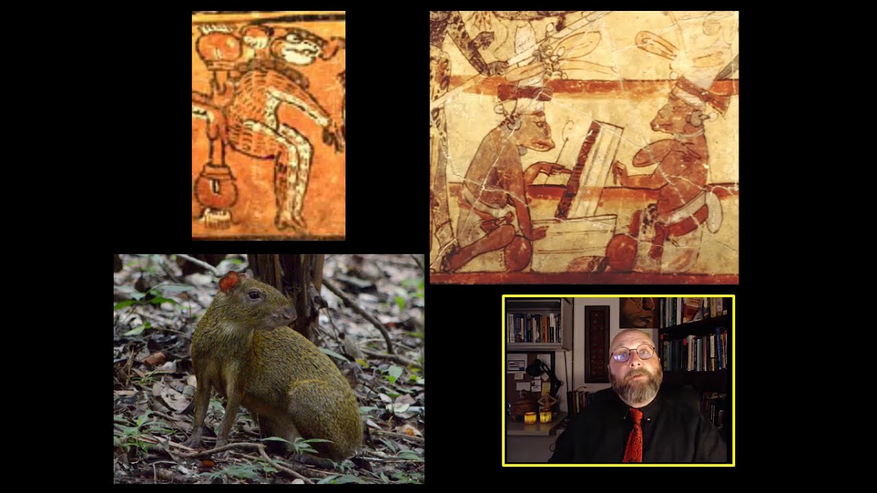 Chapter 11-2 "The Maya forest, The Hero Twins, and the Birth of the Maize God"