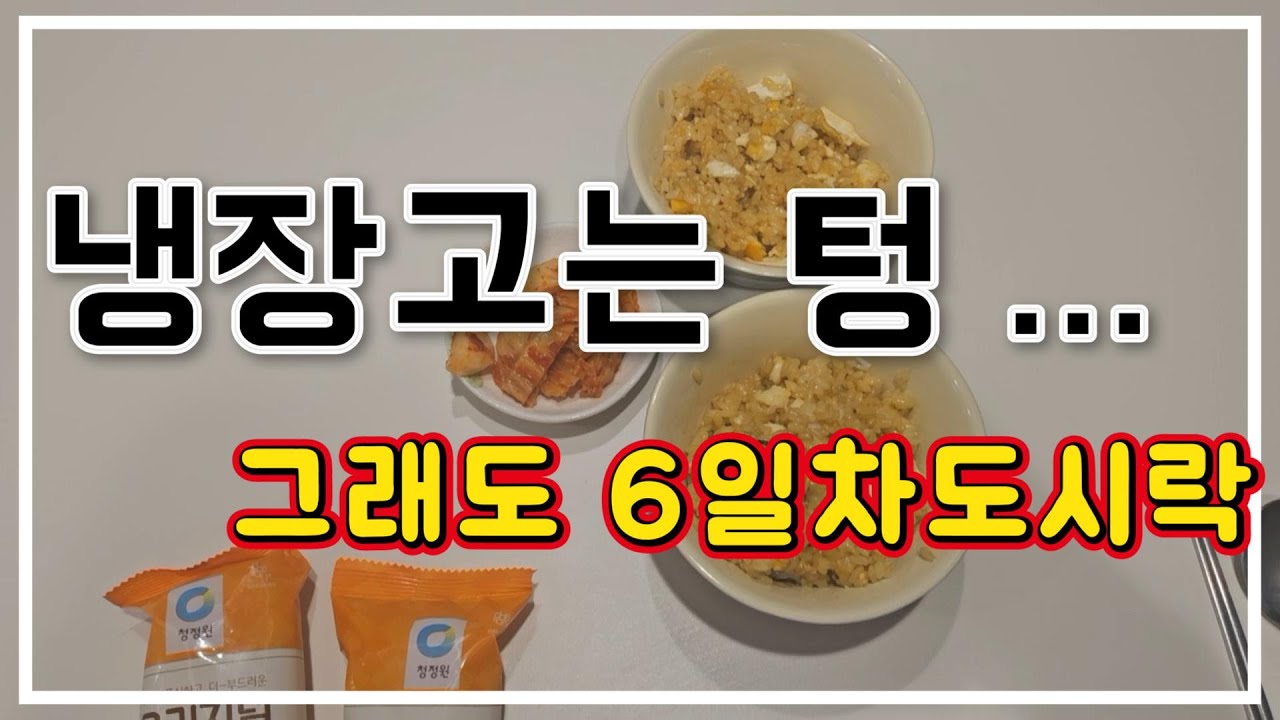 늦잠 잔 날, 냉장고 텅텅 | 그래도 30분 6일차도시락